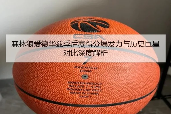 森林狼爱德华兹季后赛得分爆发力与历史巨星对比深度解析