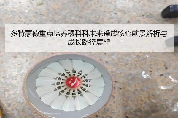 多特蒙德重点培养穆科科未来锋线核心前景解析与成长路径展望